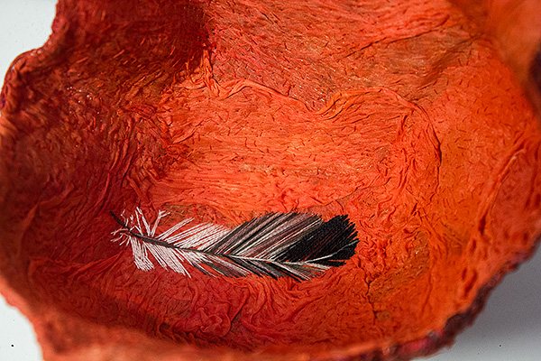 Little Rd Rooster / Lilla röda tuppen